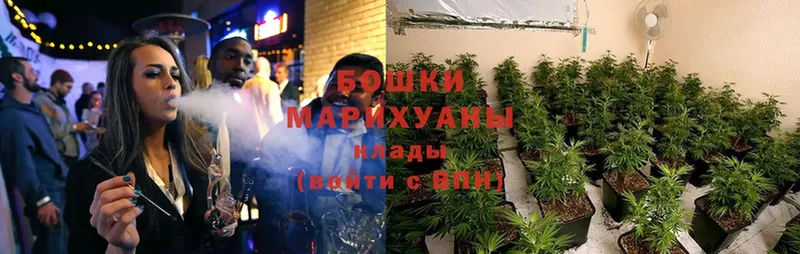 Конопля SATIVA & INDICA  дарнет шоп  Тырныауз 